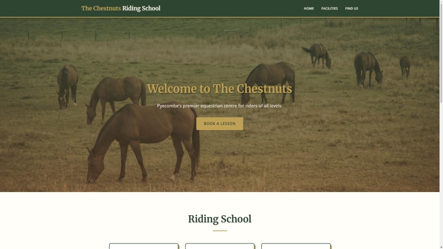 chestnutsridingschool.co.uk